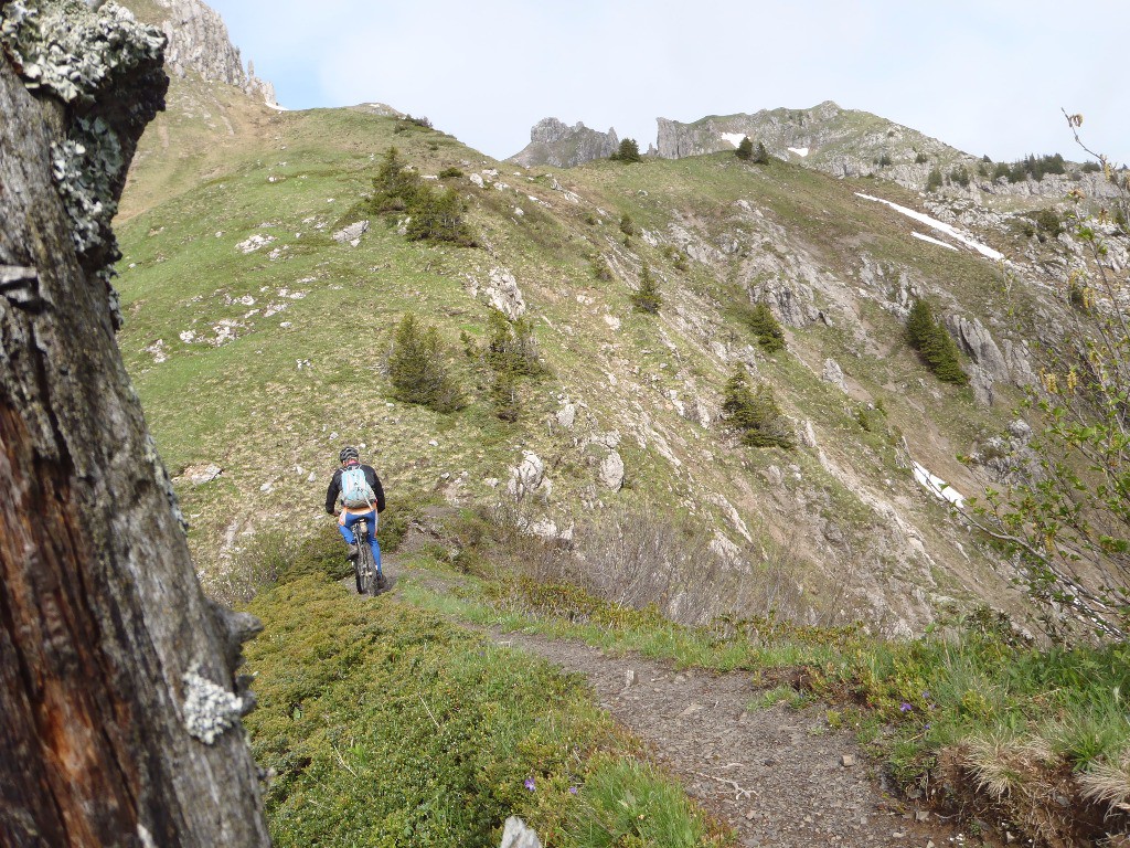 Sentier aérien : Au pied de Tête de Charseuvre > Col de Foron : Une photo tous les 75m linéaires pour avoir une idée de l'arête.