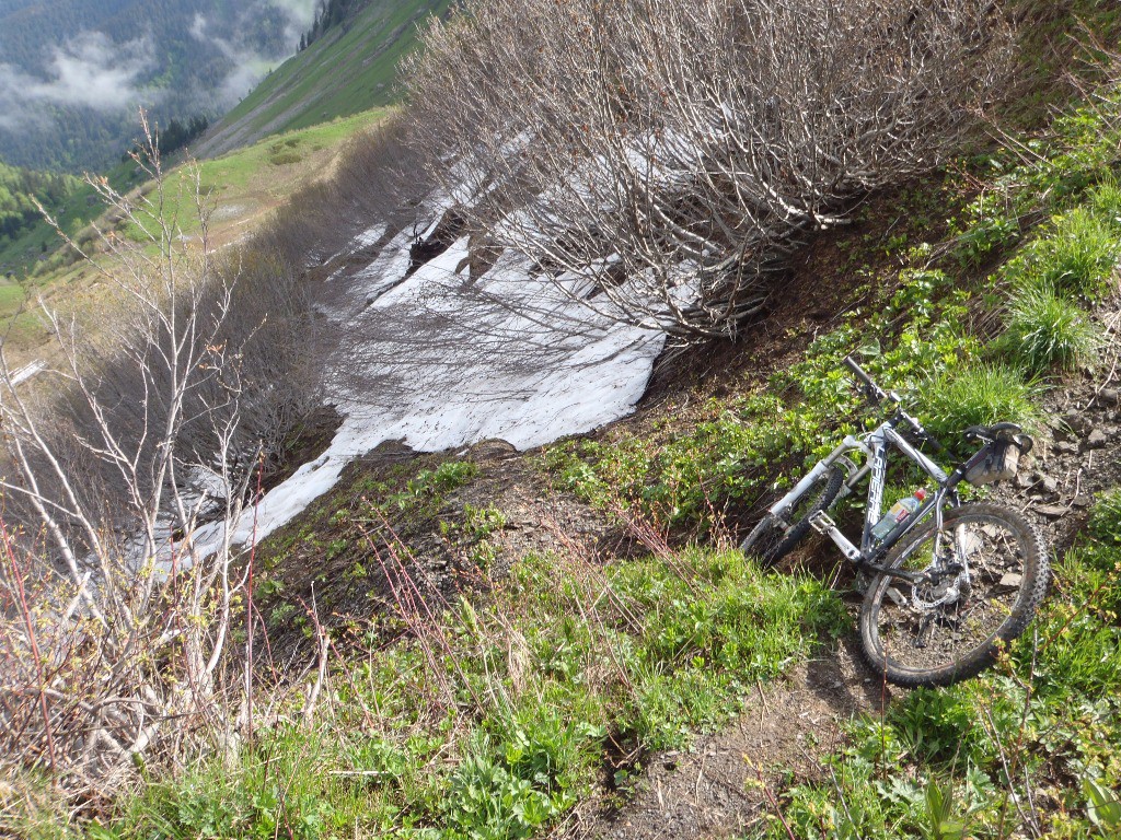 Sentier pour aller à Souvroz d'en Haut, trop encombré pour le moment.