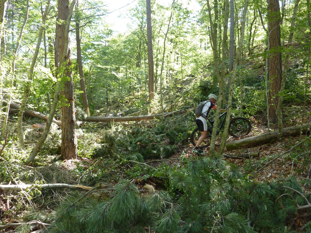 #2 Portage forestier Portage forestier