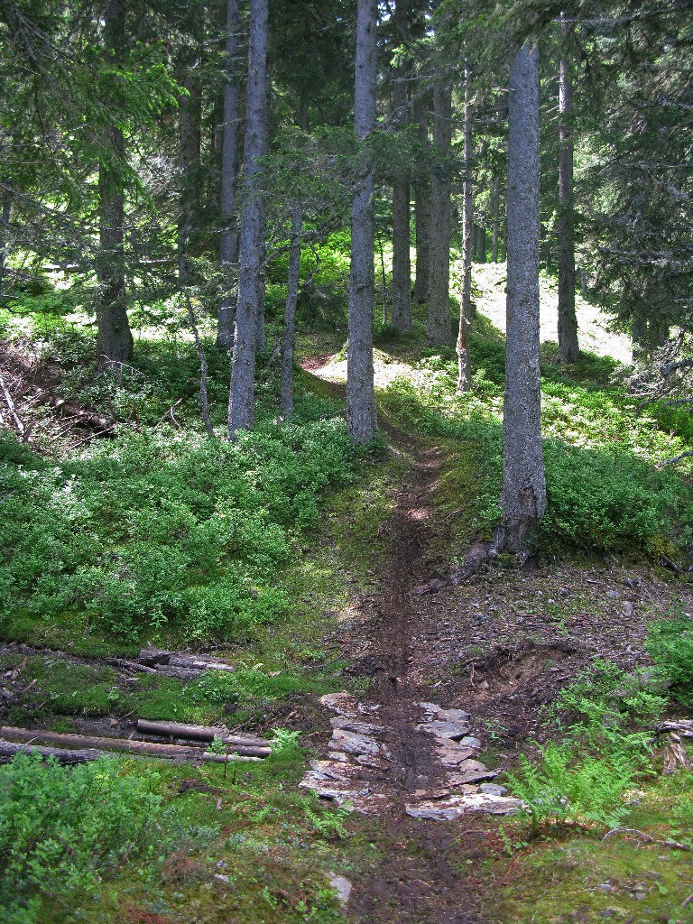 Partie haute du sentier