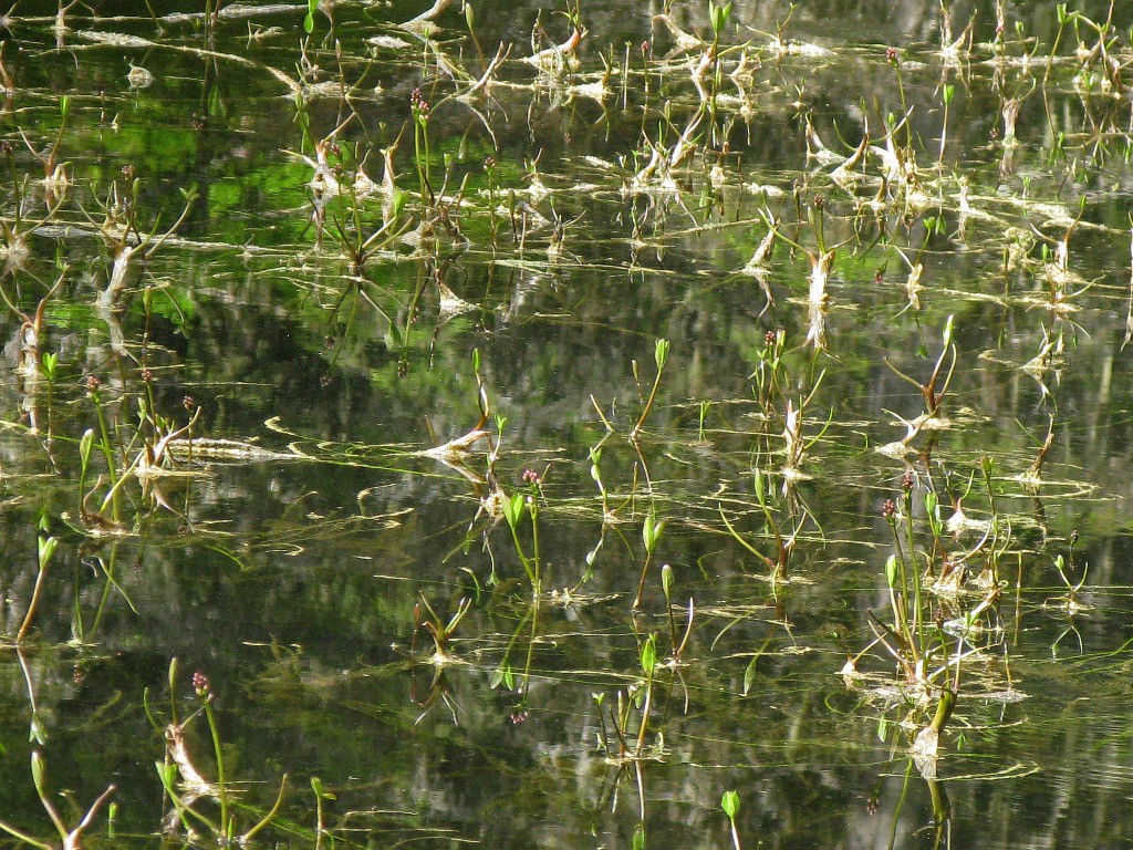 Lac du Clou