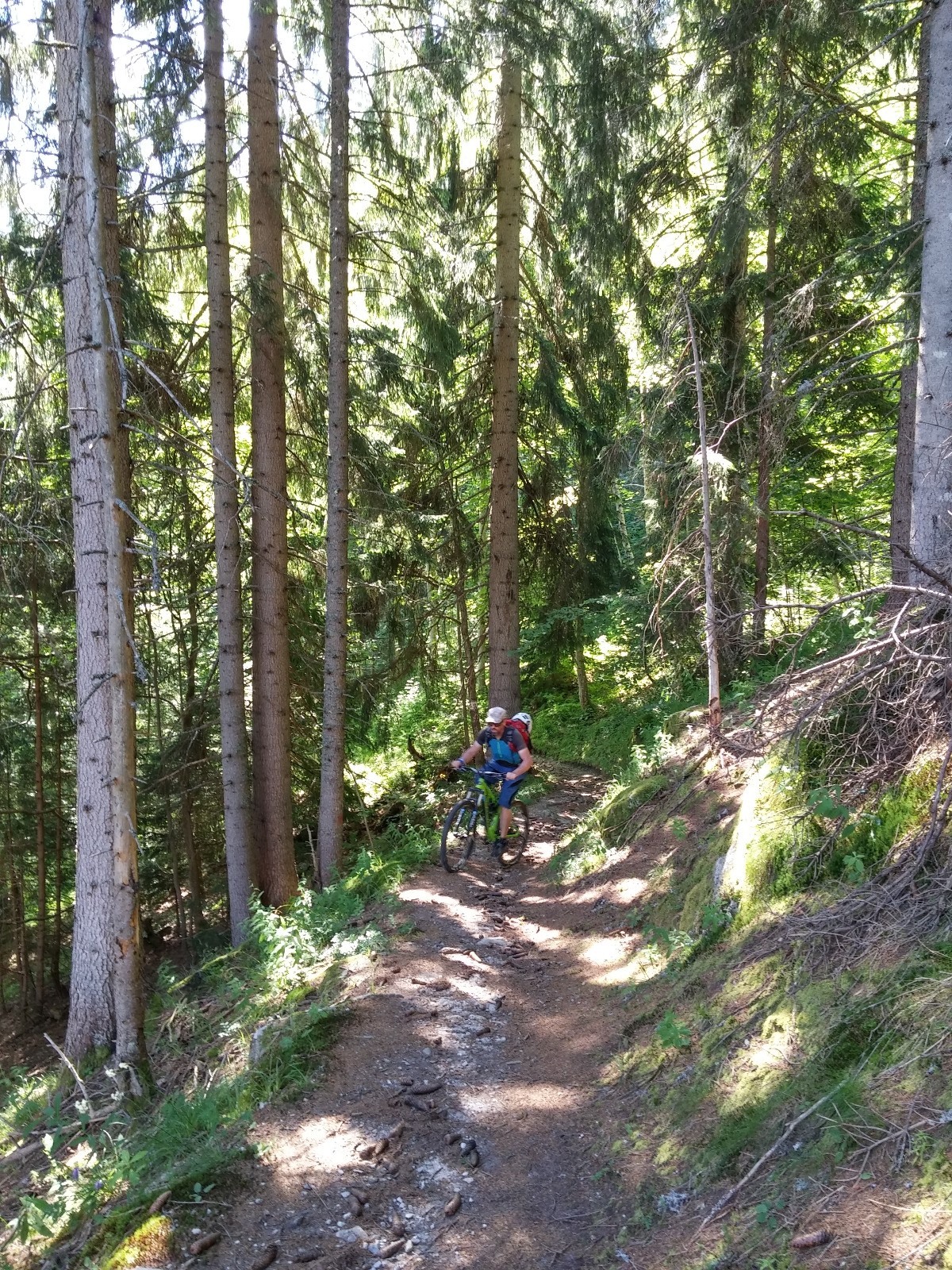 Sentier de départ au-dessus de Darbelay