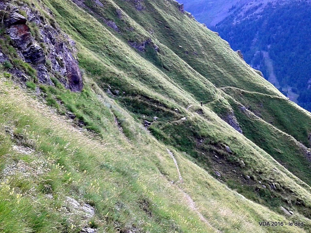 on roule un peu mais gare à la chute !