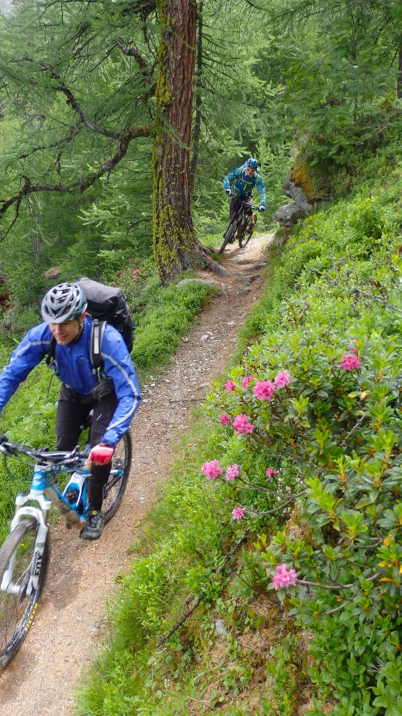 #22 Descente plaisir ! Descente plaisir !