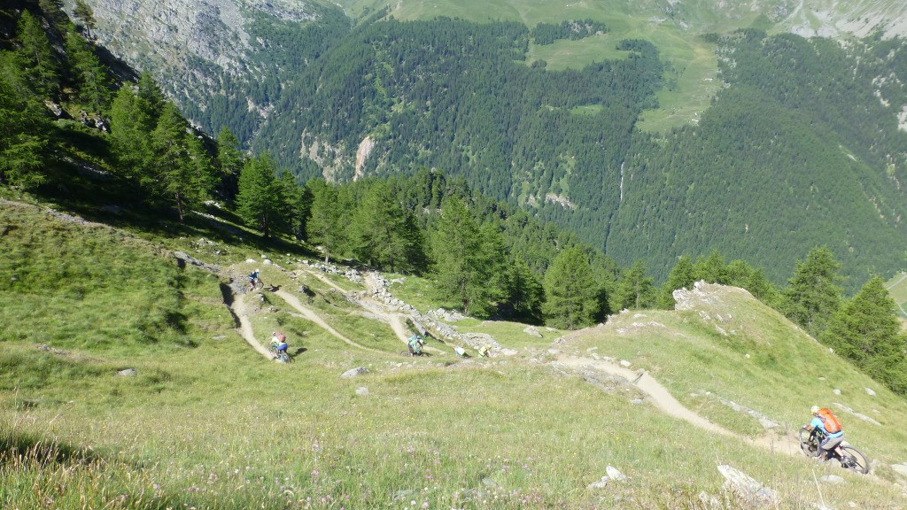 #15 Trop de la balle se sentier Trop de la balle se sentier