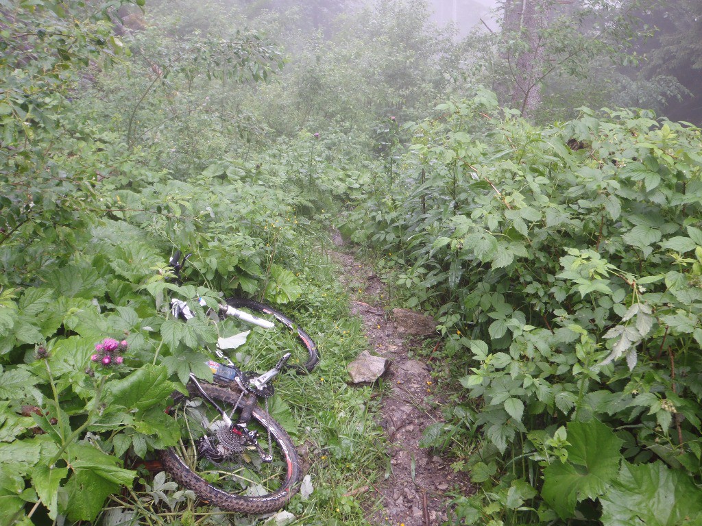 Sentier, Méry > Sommier d'Aval : Une zone envahie par la végétation, descendre à vitesse réduite.