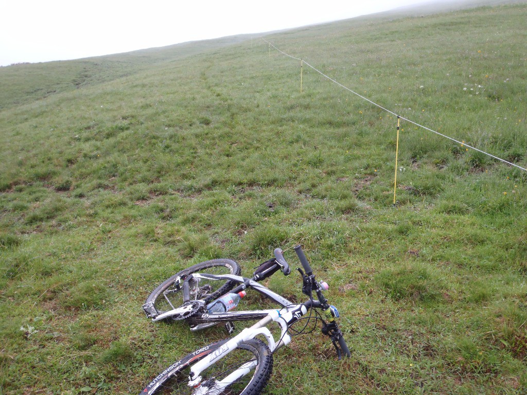 Sentier, Tête du Château > Méry : le sentier est difficile à parcourir, je suis descendu hors sentier.