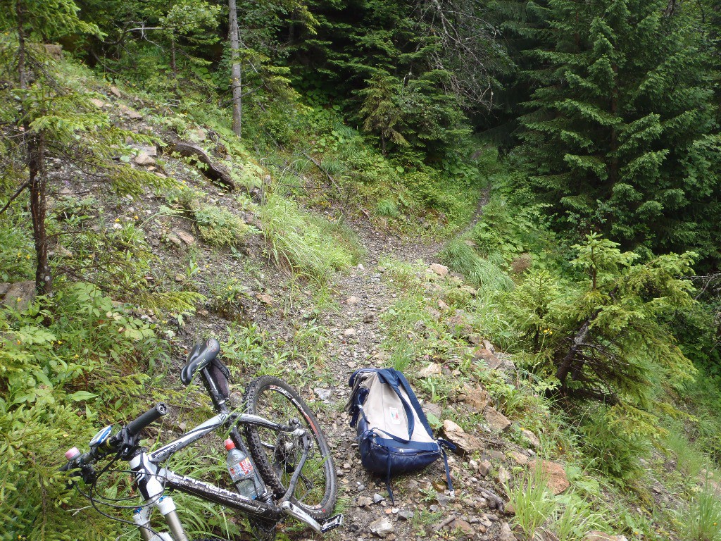 Sentier de Bugnon : A faire, super dans les deux sens. 