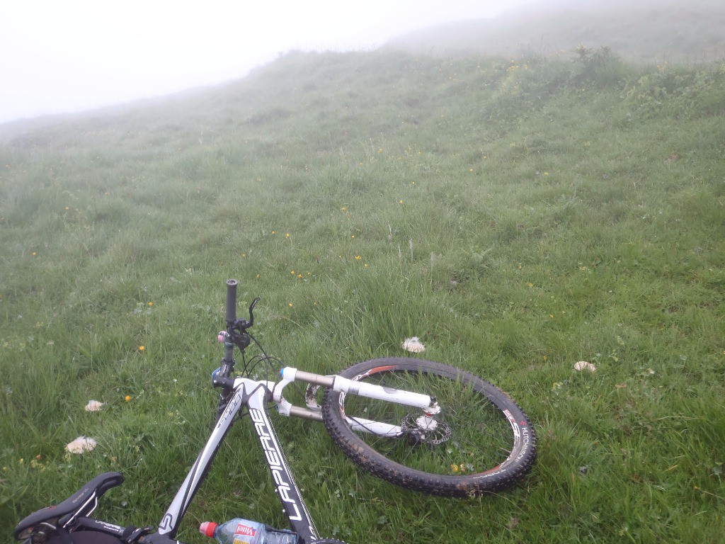 #1 Les pâturages de Vormy : Du brouillard, visibilité à 20m, un rond de mousserons, très bon comestibles. Les pâturages de Vormy : Du brouillard, visibilité à 20m, un rond de mousserons, très bon comestibles.