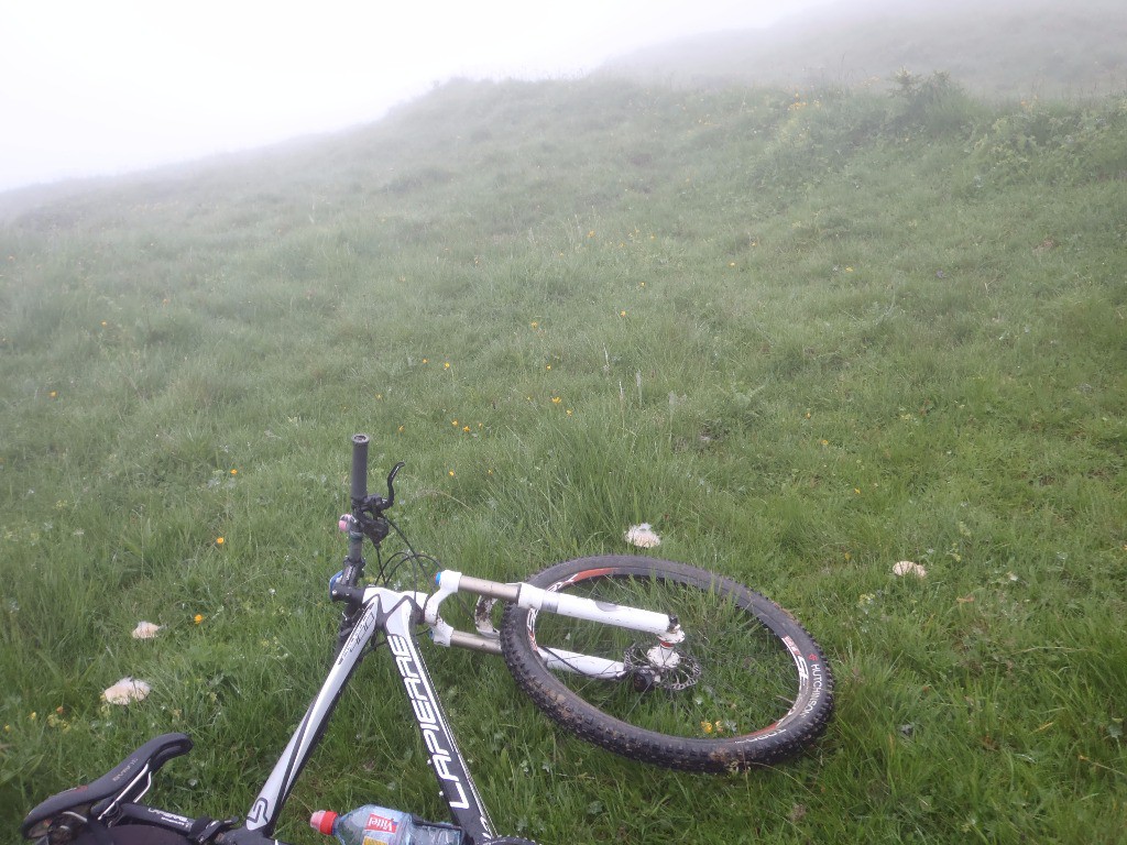 Les pâturages de Vormy : Du brouillard, visibilité à 20m, un rond de mousserons, très bon comestibles.