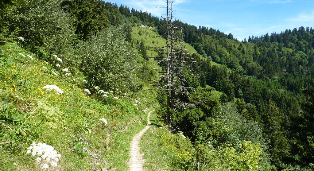 #1 Sentier de Bellecombe Sentier de Bellecombe