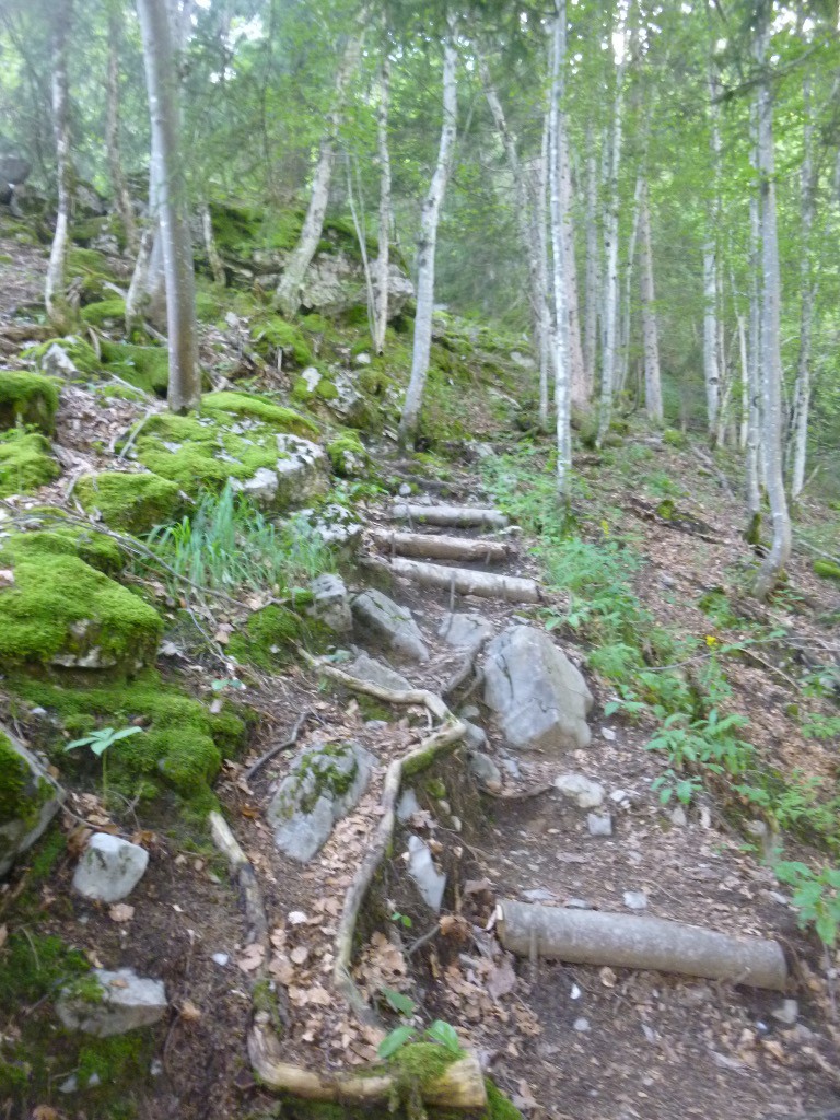 Encombré ce sentier...