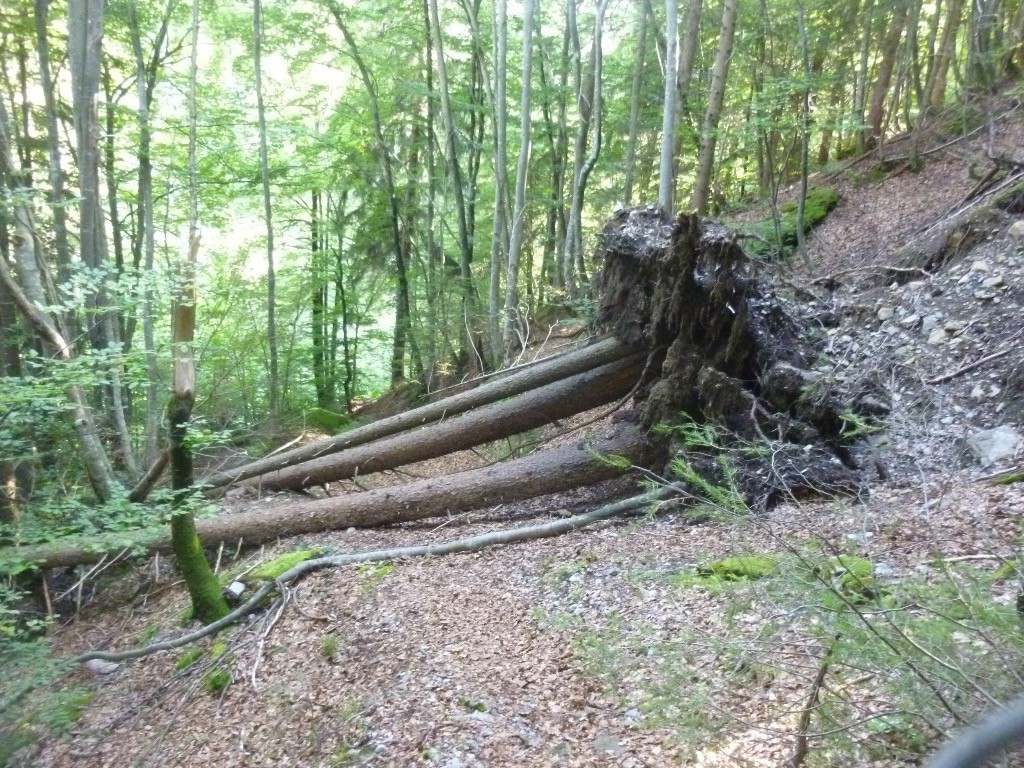 #15 Obstacle : contournement facile. Obstacle : contournement facile.