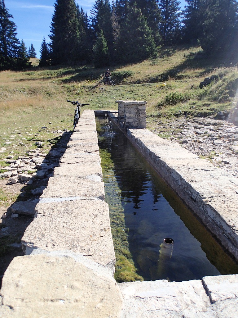 La fontaine de Gerland coule encore ...