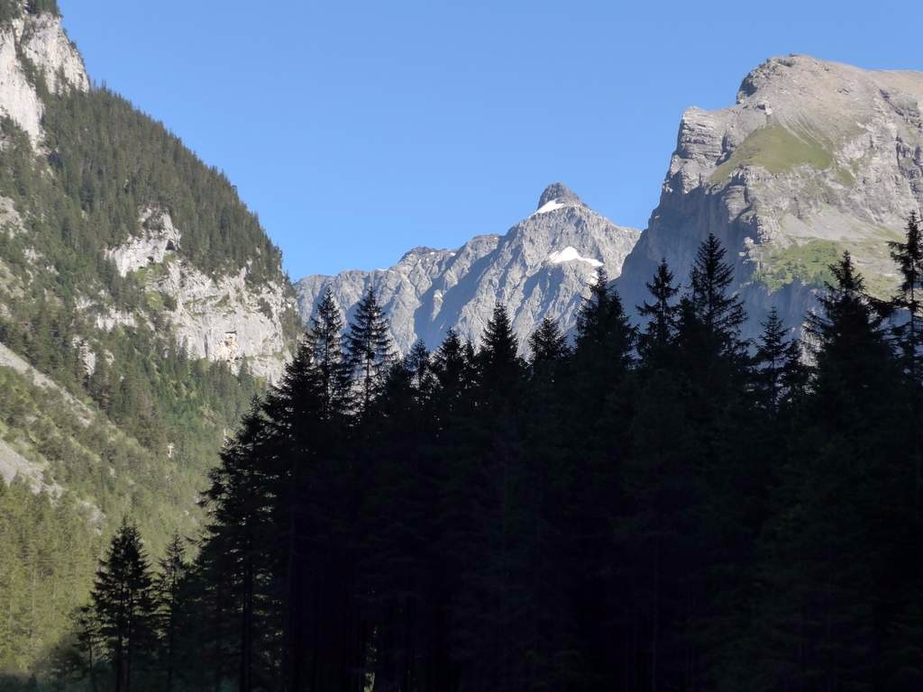 #23 Hockenhorn Hockenhorn