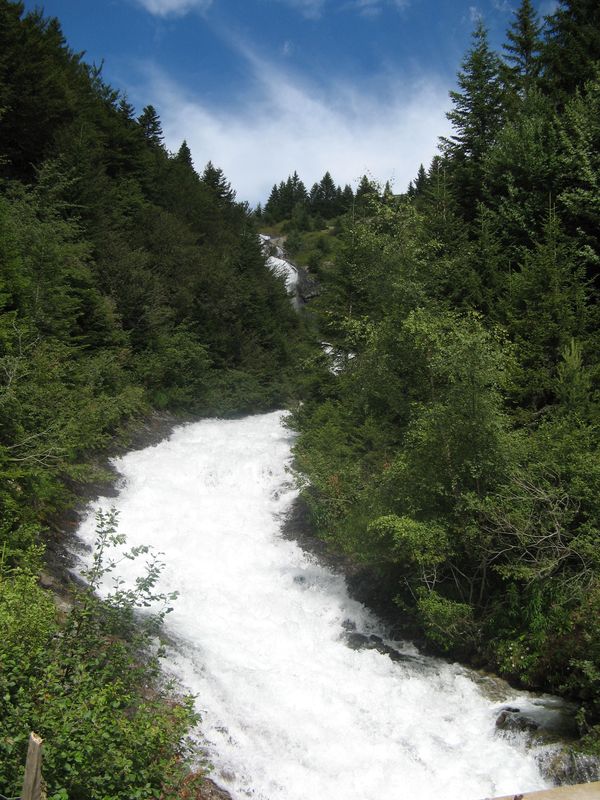 Ruisseau du Taillefer : Un bon débit pour un mois d'août...