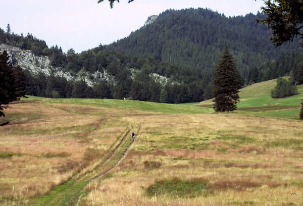 Herbouilly : Toujours belle cette plaine