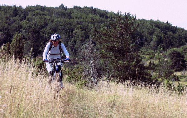 Paisible : Entre Vassieux et la Chapelle en Vercors