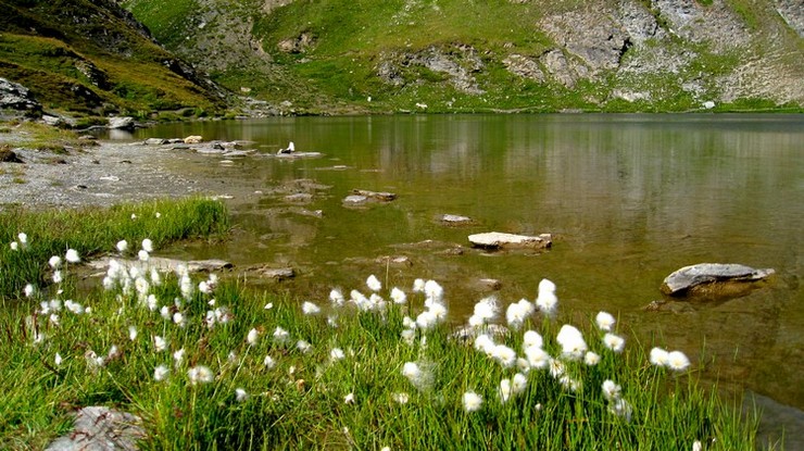 #4 Le Grand Laus : L Le Grand Laus : L'arrivée au lac