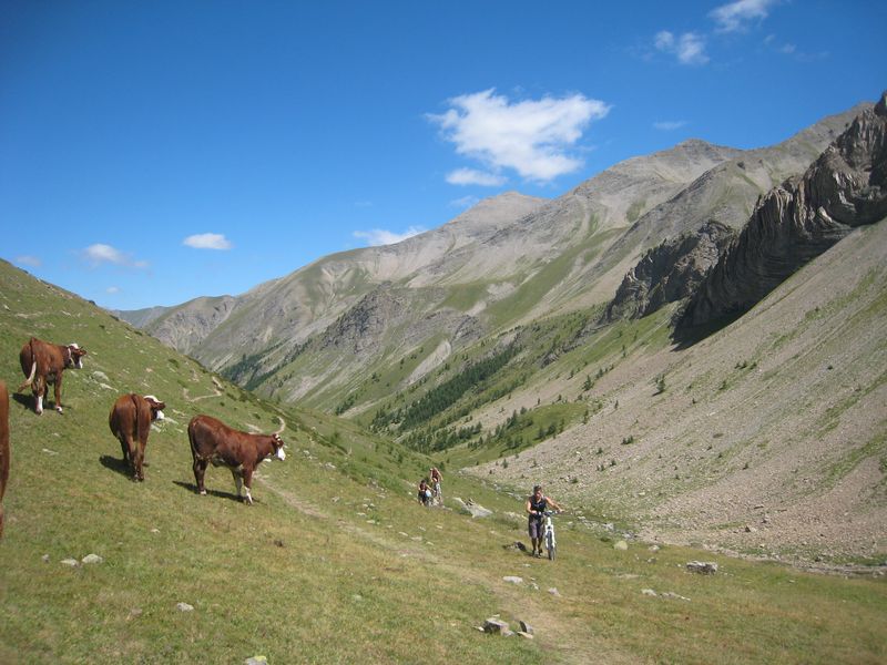 #9 Montée au col des Orres : Leced a la côte auprès des locales du coin ;-) Montée au col des Orres : Leced a la côte auprès des locales du coin ;-)