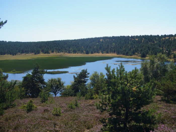 #5 Etang du Barrandon : Un petit coin de paradis. Etang du Barrandon : Un petit coin de paradis.