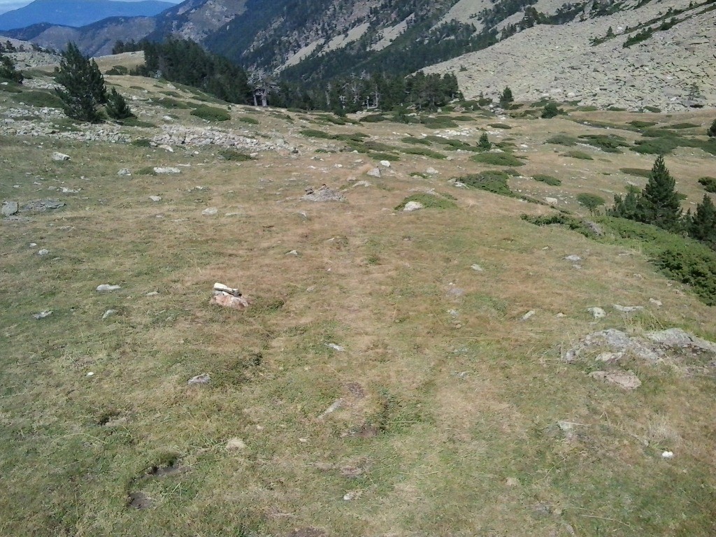 Le sentier est peu marqué sur les pelouse