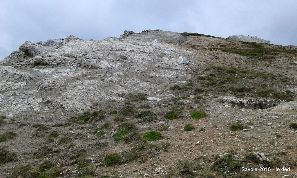 #1 Petit Mont Blanc, face N Petit Mont Blanc, face N