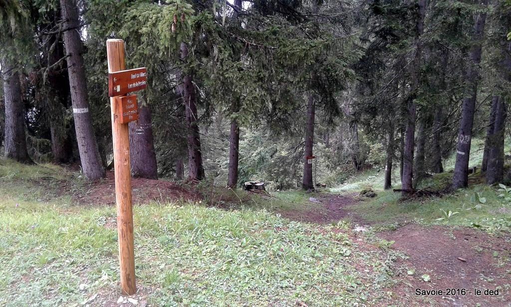 #4 petit sentier pour sauver la sortie petit sentier pour sauver la sortie
