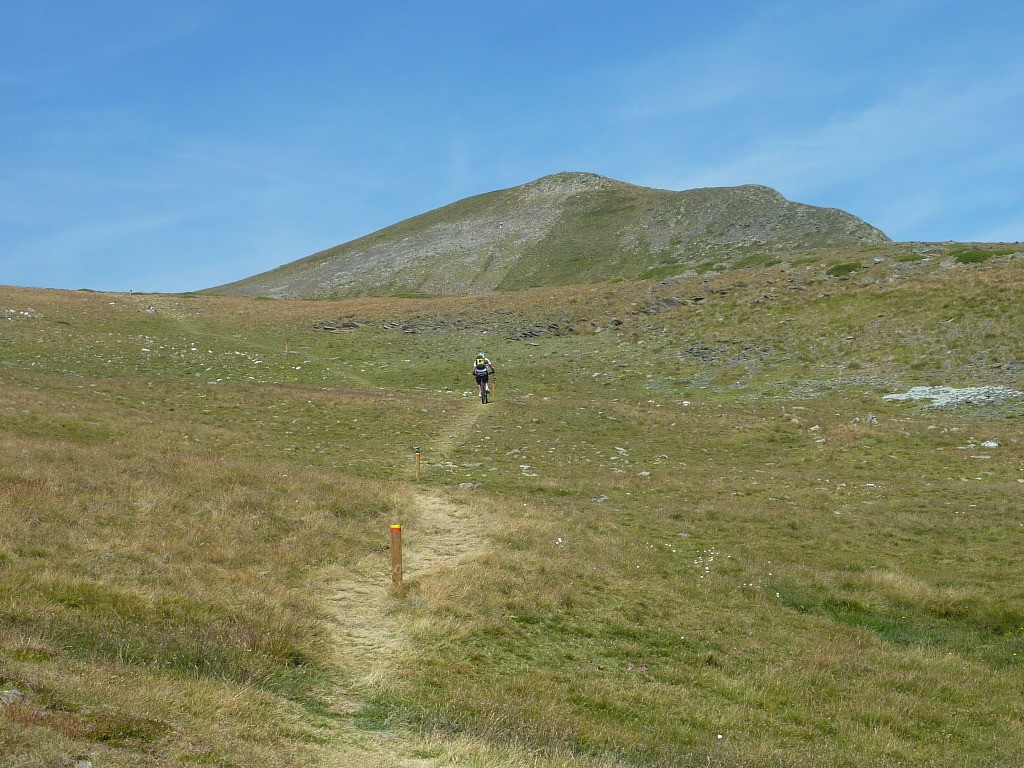 Steppe d'altitude