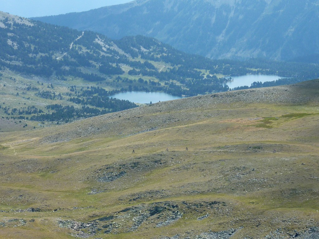 Cherchez les vététistes sur le sentier