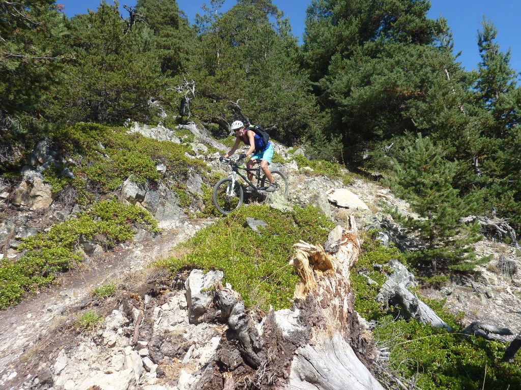 AnneCe dans le sentier de la Pignée