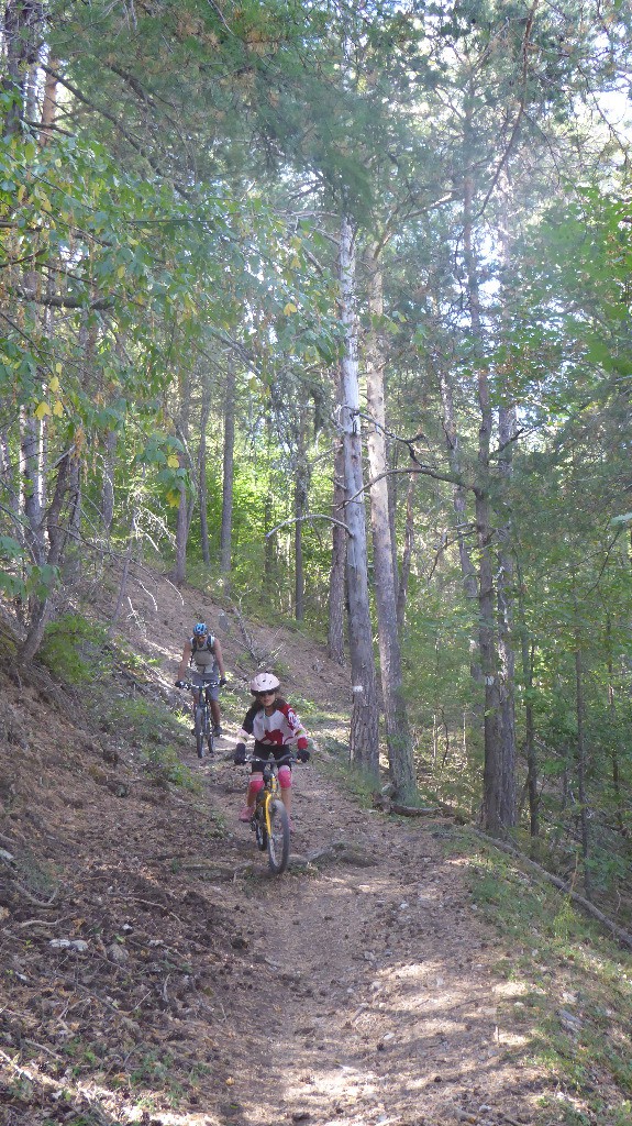 #33 Joli ce sous-bois Joli ce sous-bois