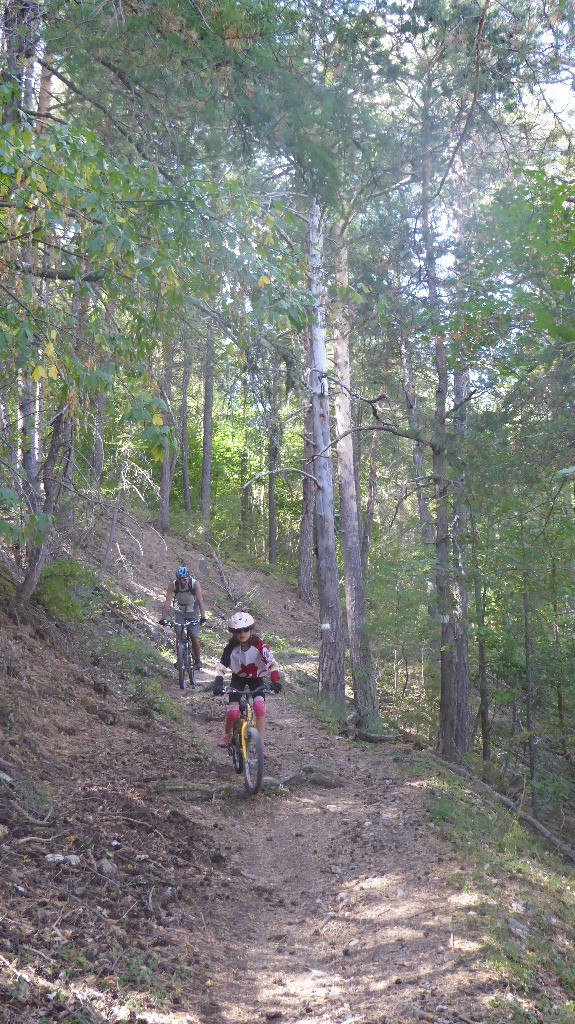 Joli ce sous-bois