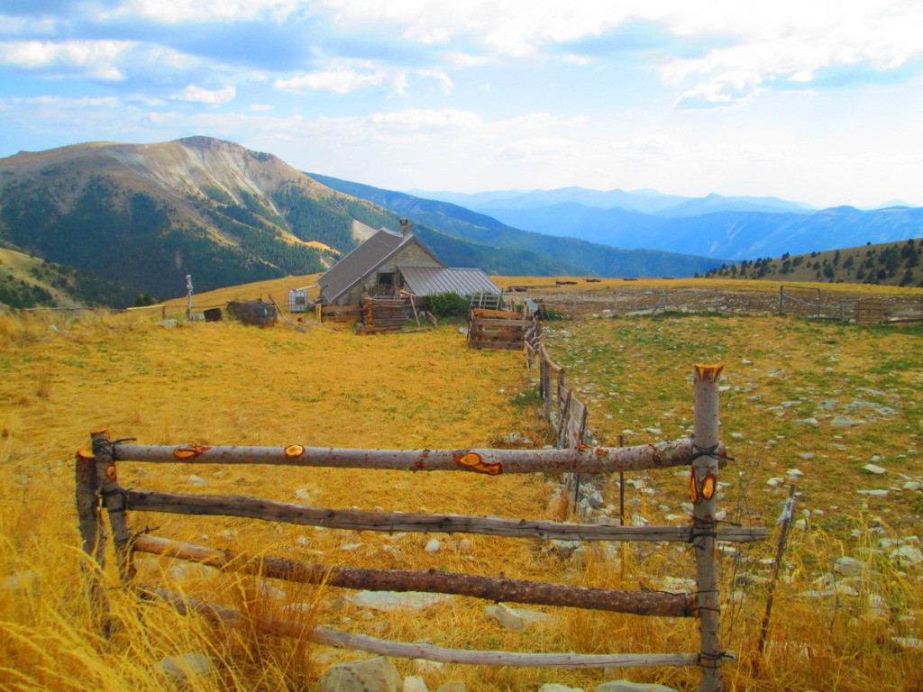 Cabane Vieille au Plan du Rieu: la maison des patous gentils et de leur gentille bergère.