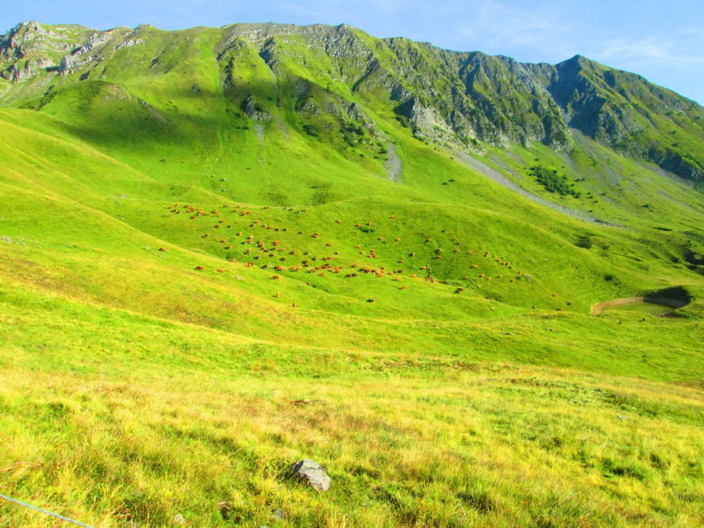 Début de descente vers Nant du Beurre