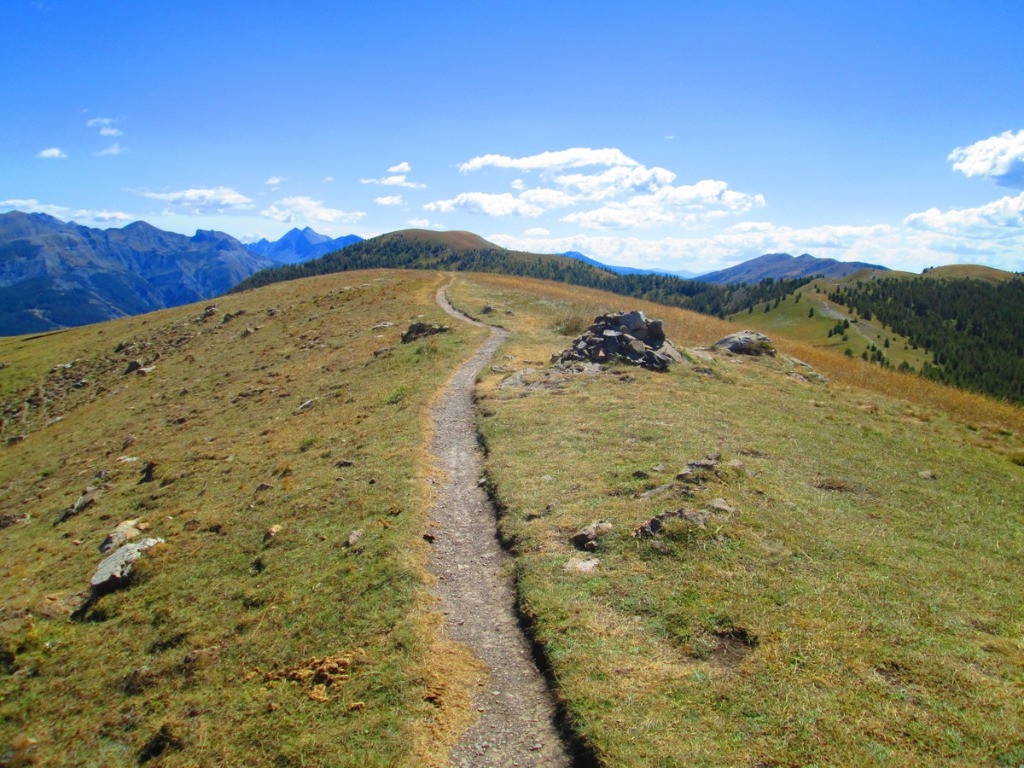 Montagne de Cheirouèche, début de descente sur le haut Verdon.