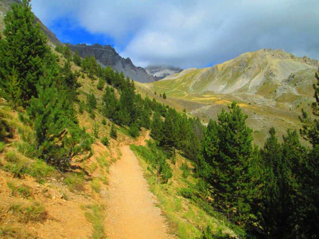 Beau sentier bien lisse pour monter au col Tronchet.