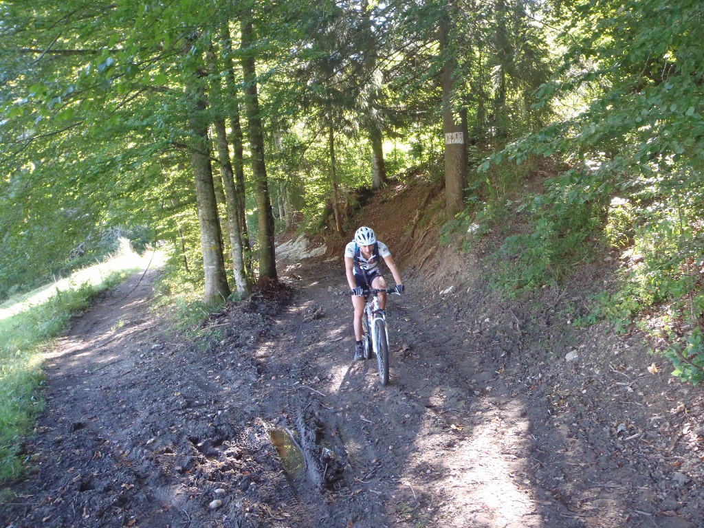 Chemin cyclable pour rejoindre le Col de Jambaz.
