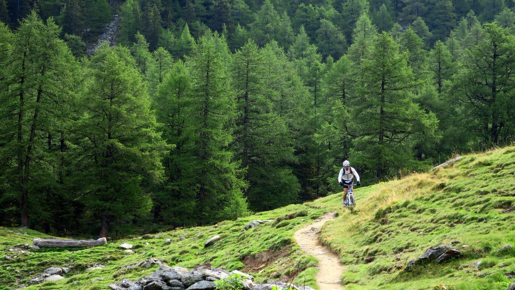 Si si on roule des fois dans la montée à Bovine