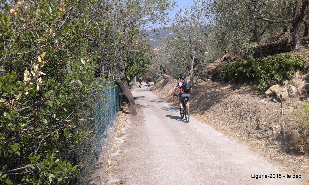 #2 chemins des oliviers chemins des oliviers