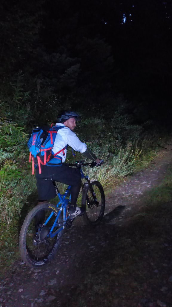 #2 on se dépêche de sortir de la forêt pour voir le levé du jour on se dépêche de sortir de la forêt pour voir le levé du jour