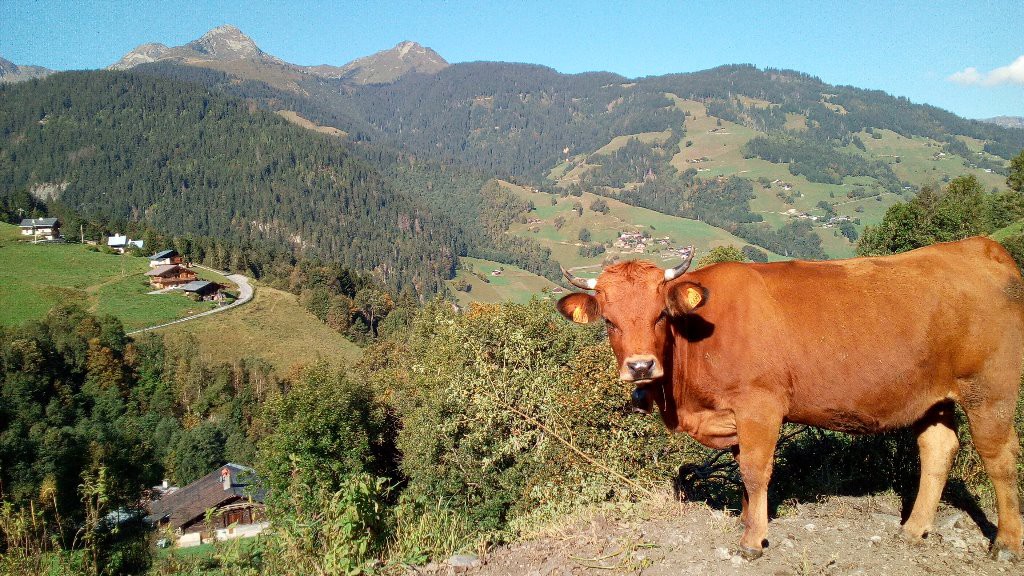 #27 une Star dans ces lieux! une Star dans ces lieux!