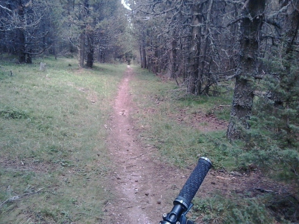 #20 ou étroit et lisse ou étroit et lisse