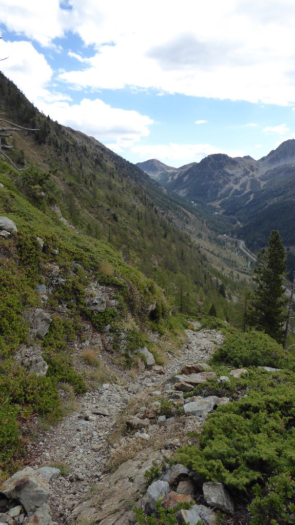 Bientôt dans la forêt pour un beau final