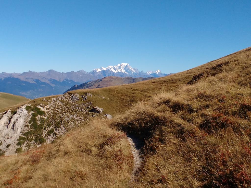 #5 Retour au Lachat Retour au Lachat