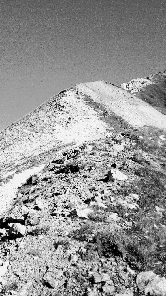 #33 descente du petit Mont-Blanc descente du petit Mont-Blanc