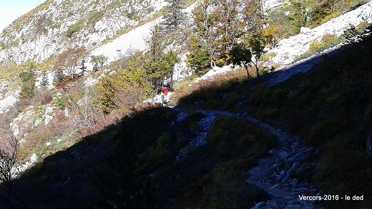 entre ombres et lumières sur le sentier Gobert