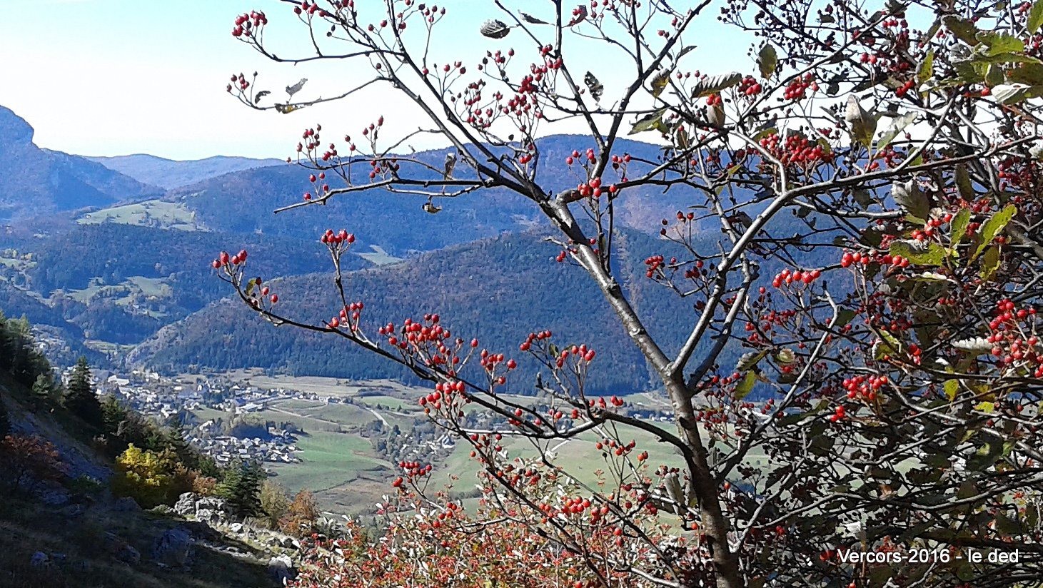 plateau de Villard de Lans