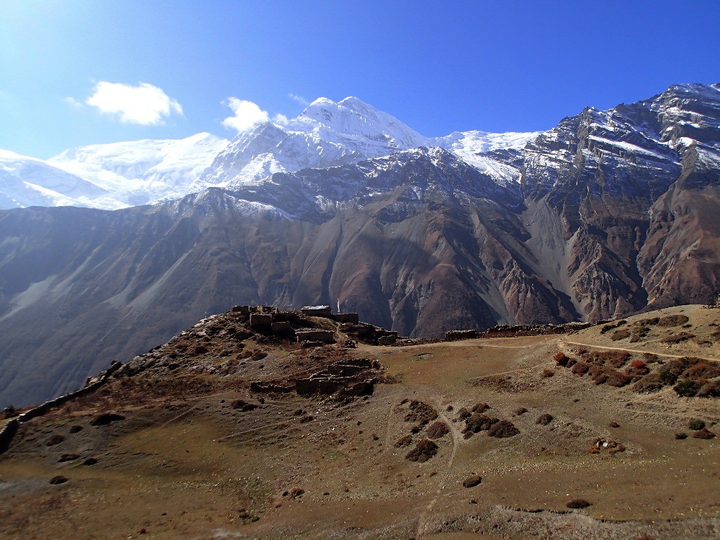 Parc à yaks devant Annapurna (x) ?