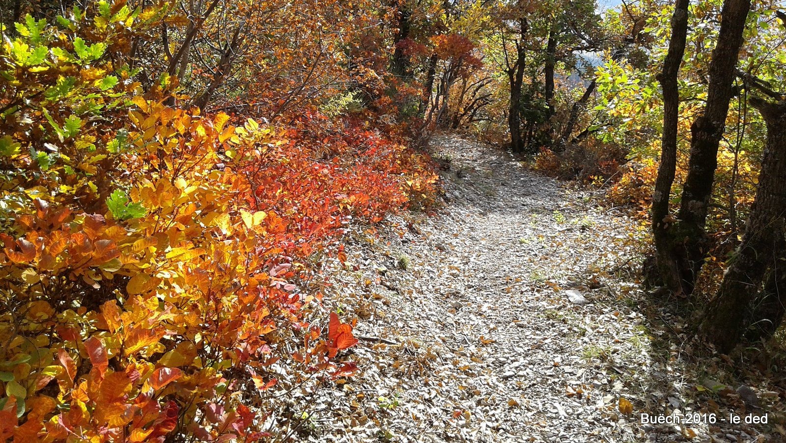 du col de Marjariès, c'est tout comme ça